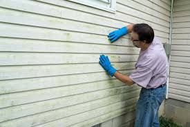 Best Aluminum Siding Installation  in Bladensburg, MD